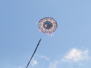 IMG_1313