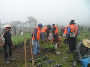 Reforestación en Nahualá