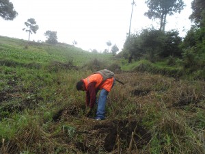 Reforestación en Nahualá