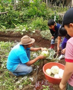Zona Orgánica Educación
