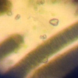 vlcsnap-2014-08-28-09h03m54s129