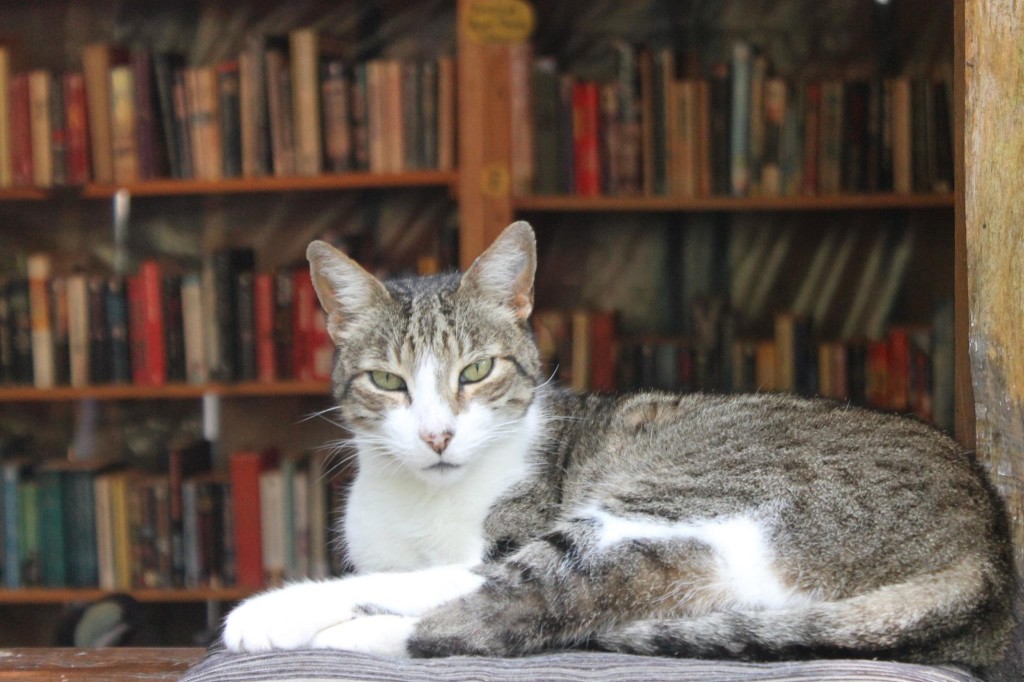 10800300_10201920867543102_2067825673_o