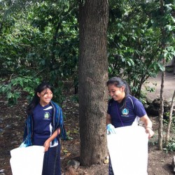 12009759_738399602931664_7476495337129806559_n