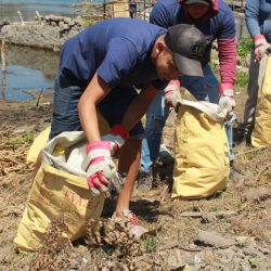 1bab56de-5461-4570-8658-40758e341b54