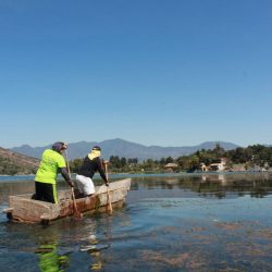 e6a73a03-fd47-4ba7-ae2b-b997a096ceb4