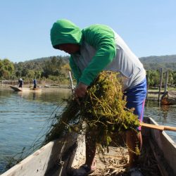 eb93df42-e8a3-42dc-a0f8-72585759e5d5