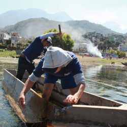 f02389de-db52-4b78-899d-db0e98c35a65